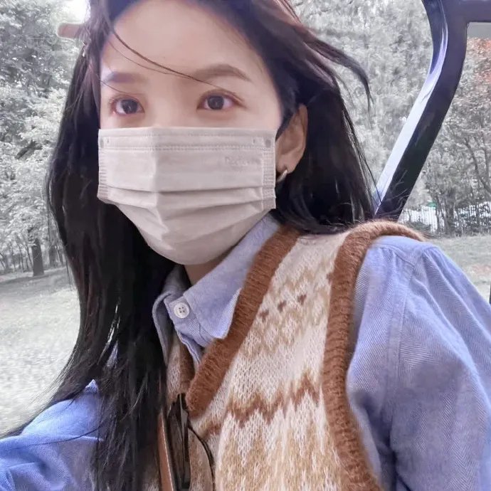 企鹅之岛：福克兰